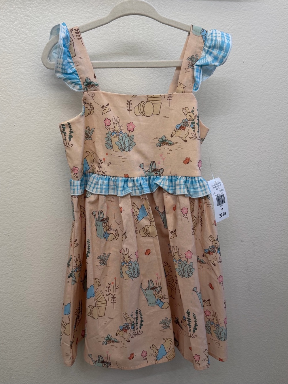 Peter Rabbit Dress with Blue Gingham Trim